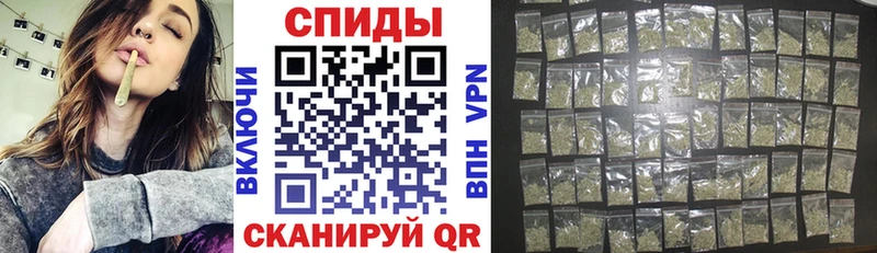 мориарти официальный сайт Тулун Бутират BDO 33% omg ссылки