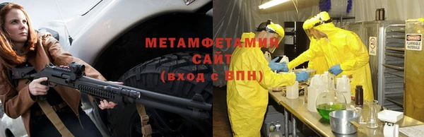 сатива Беломорск