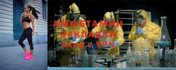 сатива Беломорск