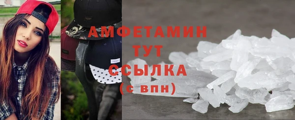 сатива Беломорск