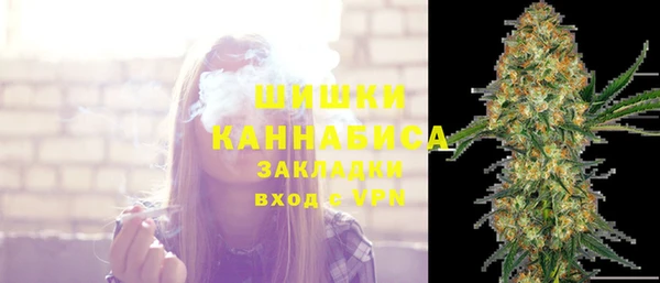 сатива Беломорск