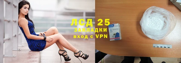 сатива Беломорск