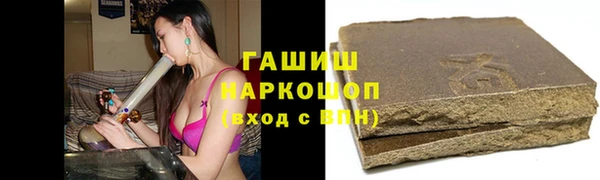 сатива Беломорск