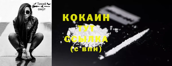 сатива Беломорск
