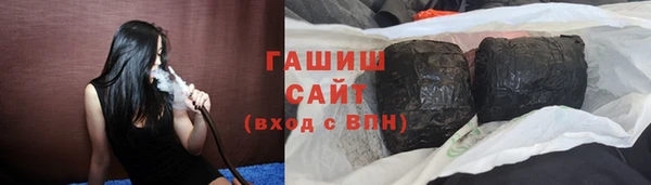 сатива Беломорск