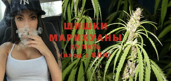 сатива Беломорск