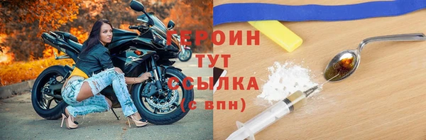 сатива Беломорск